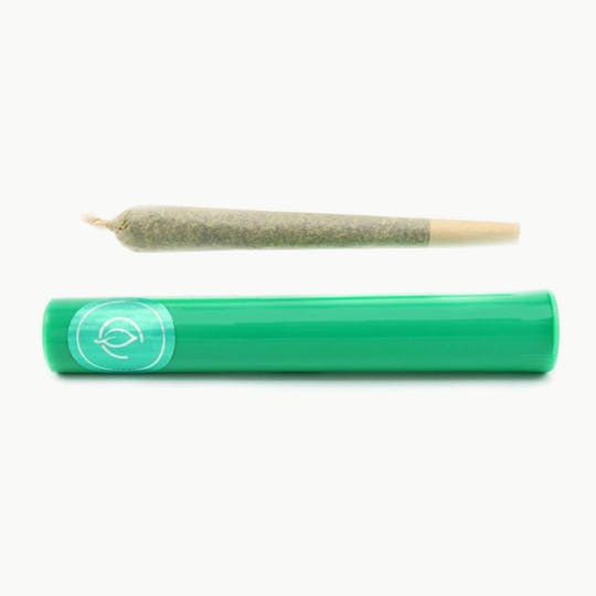 Curaleaf - Curaleaf 1g Trim Pre-Roll Durban Poison - Sativa - 1