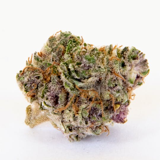 Pure Beauty - Pink Lemonade | 3.5g Indoor - 1