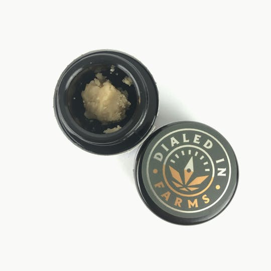 Indico - 1g Gummy Buns Live Rosin - 1