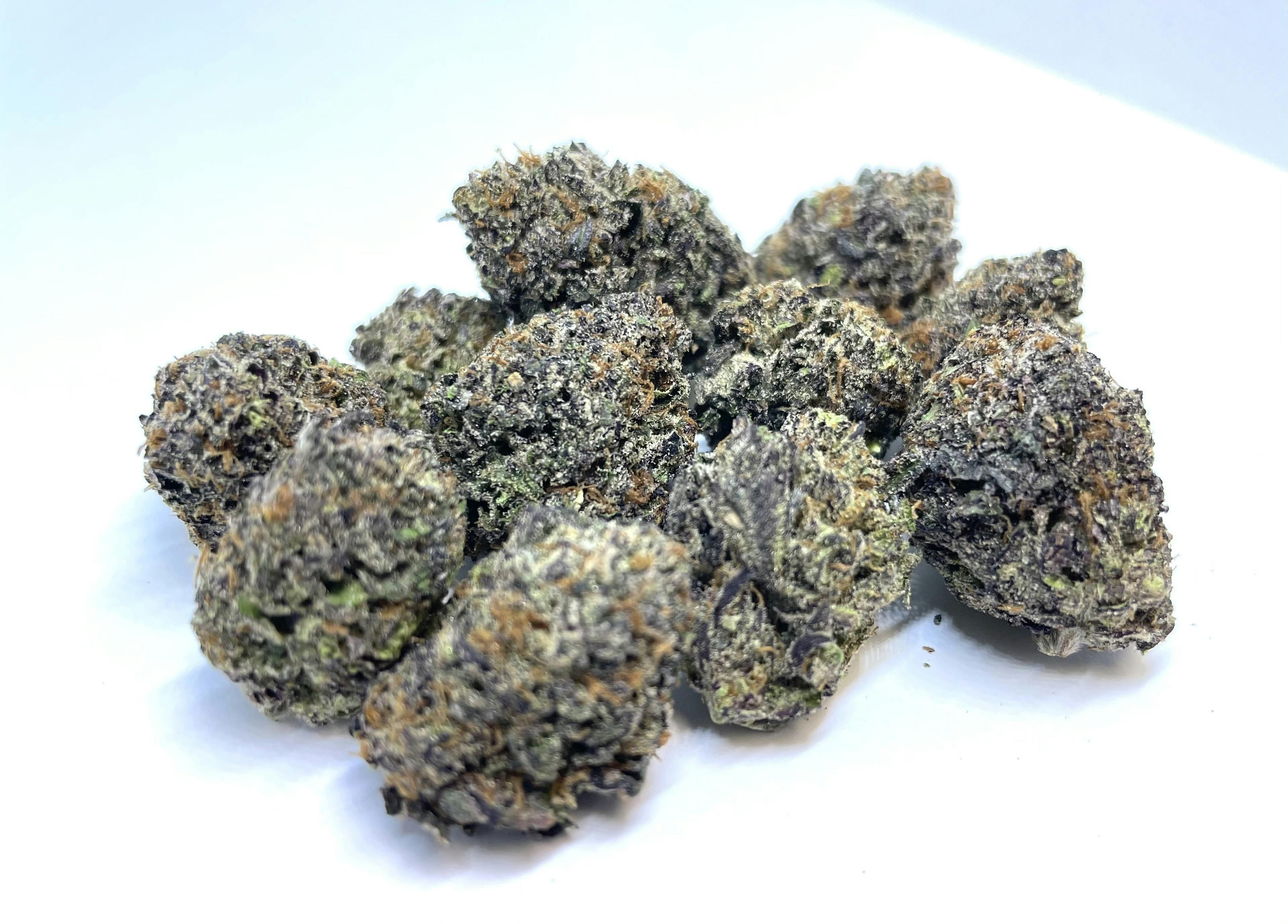 New Moon Cultivation - Gelato Punch - 1