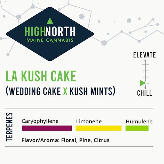 Wellness Connection - LA Kush Cake - 1