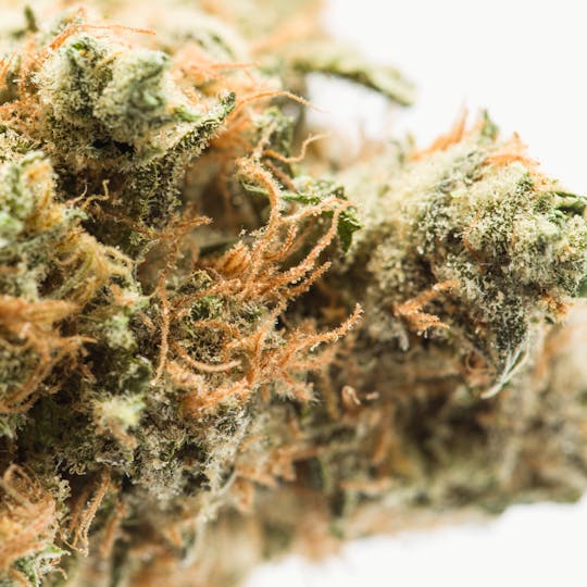 Wellness Connection - Blue Dream - 1