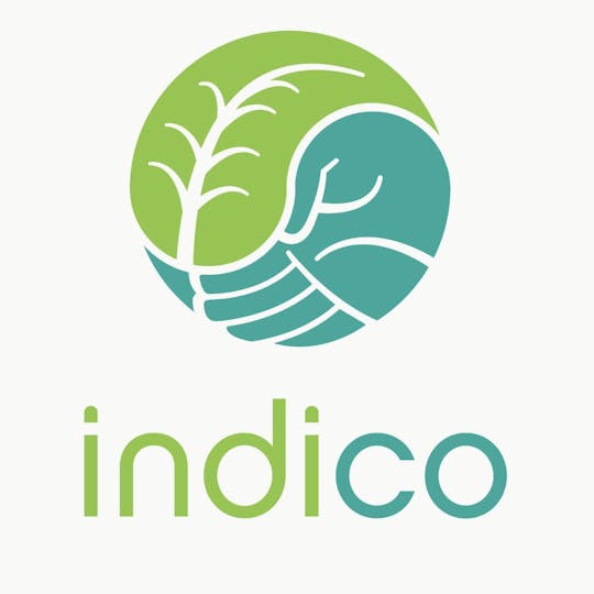 Indico - 1g Pre Roll - Orange Kush - 1
