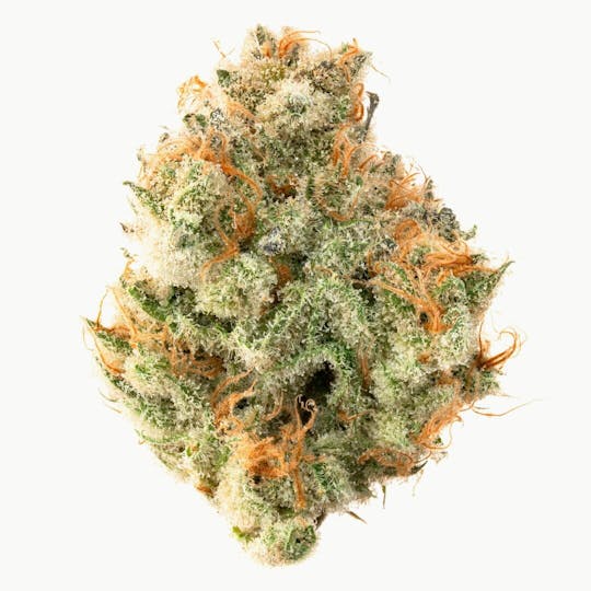 Team Elite Genetics - Banana Taffy - 1