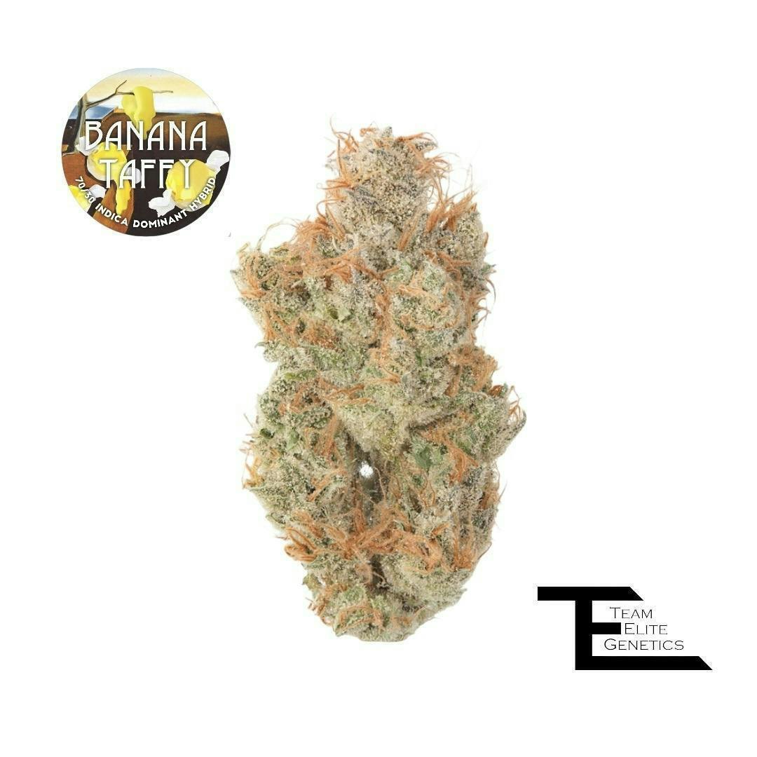 Team Elite Genetics - Banana Taffy | Big Buds | 3.5g - 1