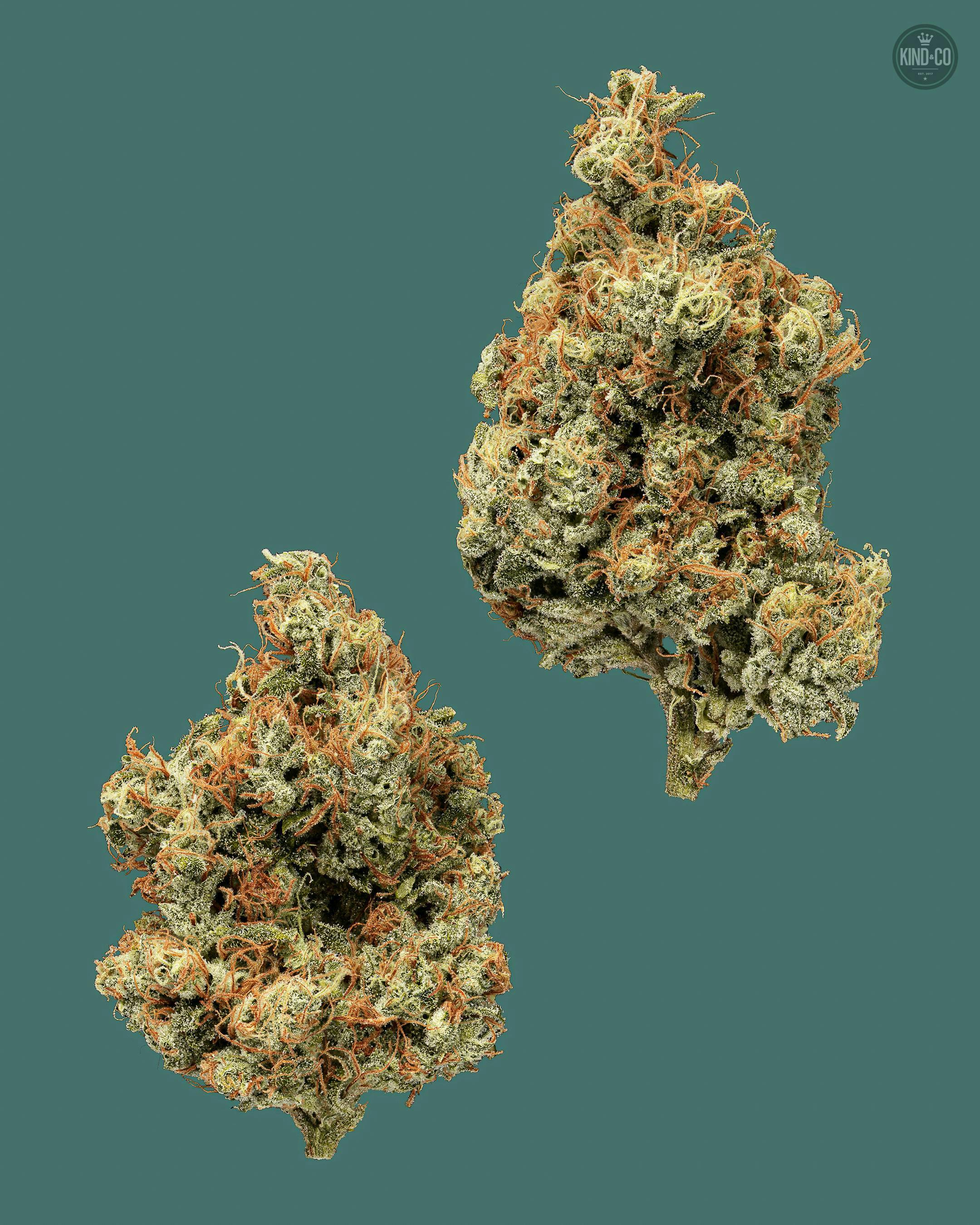 Kind & Co - Ghost Train Haze #1 - 1