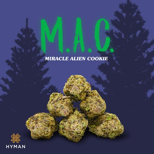 HYMAN - M.A.C. | 3.5G Pre-Pack | HYMAN | MED - 1