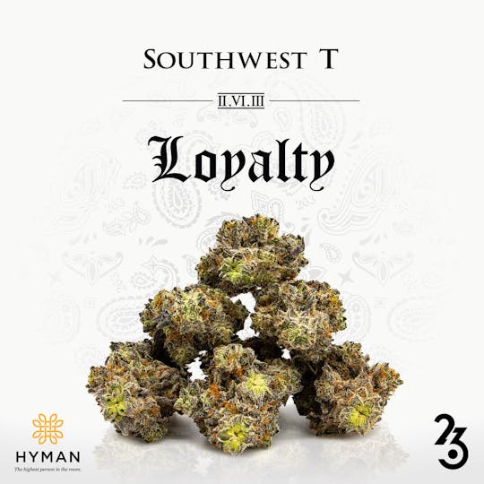 HYMAN - Loyalty | 3.5G Pre-Pack | 263 | MED - 1