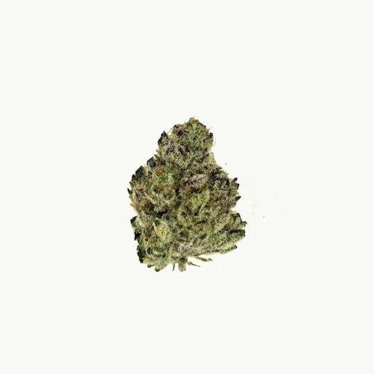 Indico - Humble Pie - 1
