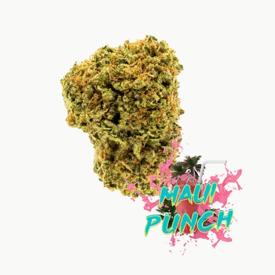 Vacation Cannabis - Maui Punch (3.5g, 7g, 14g) - 1