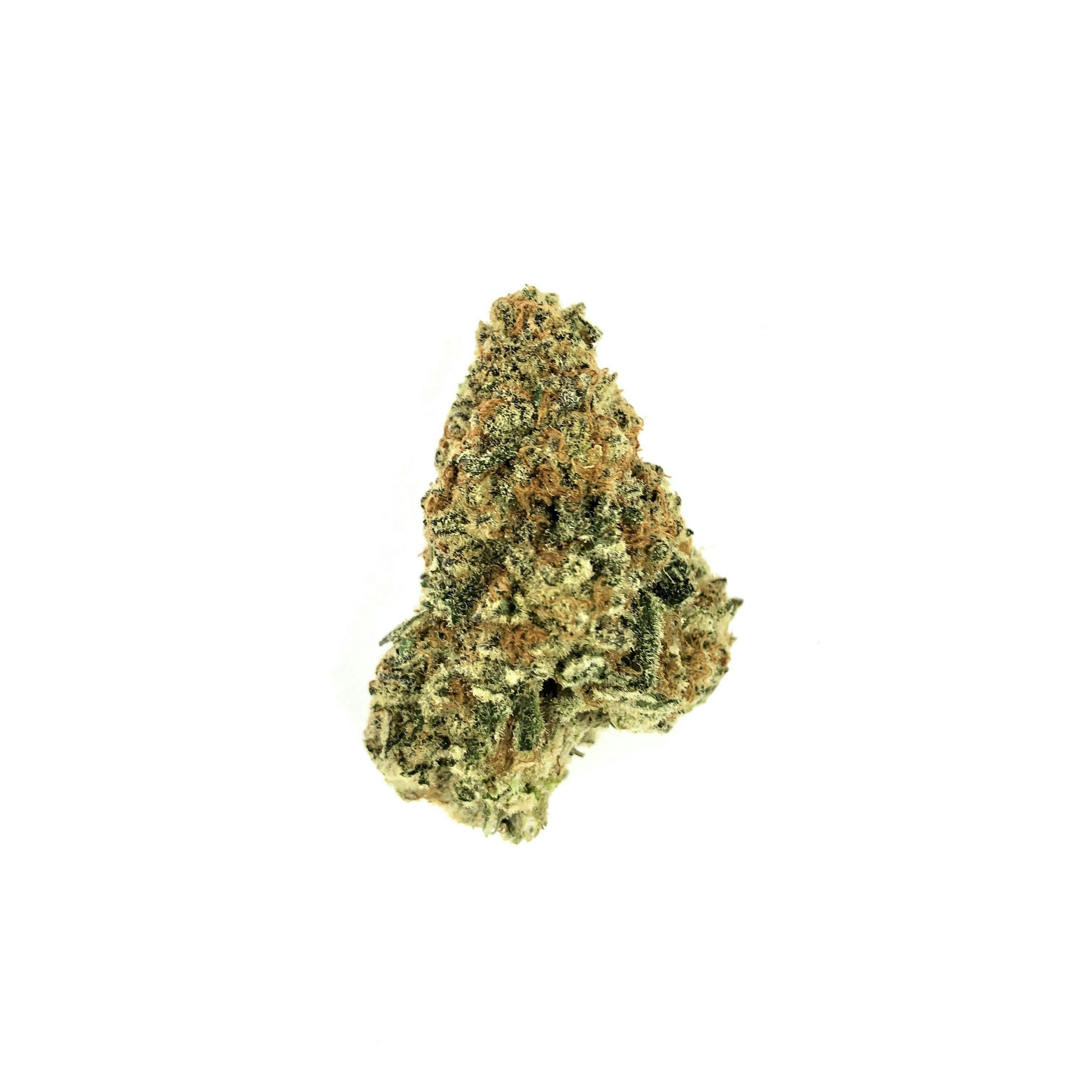 Indico - Punch Breath - 1