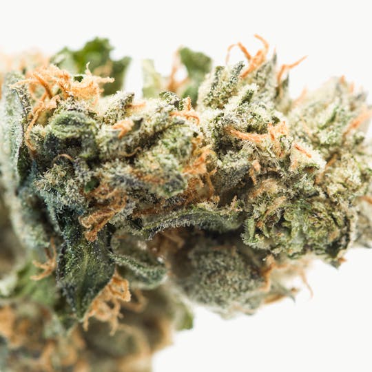 Wellness Connection - Trainwreck Pre-Roll - 1