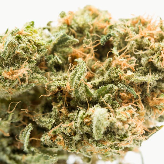 Wellness Connection - LA Chocolat Pre-Roll - 1