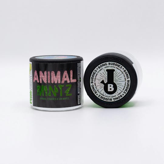 Phat Panda - Animal Mintz Platinum Bong Buddies - WA - 1