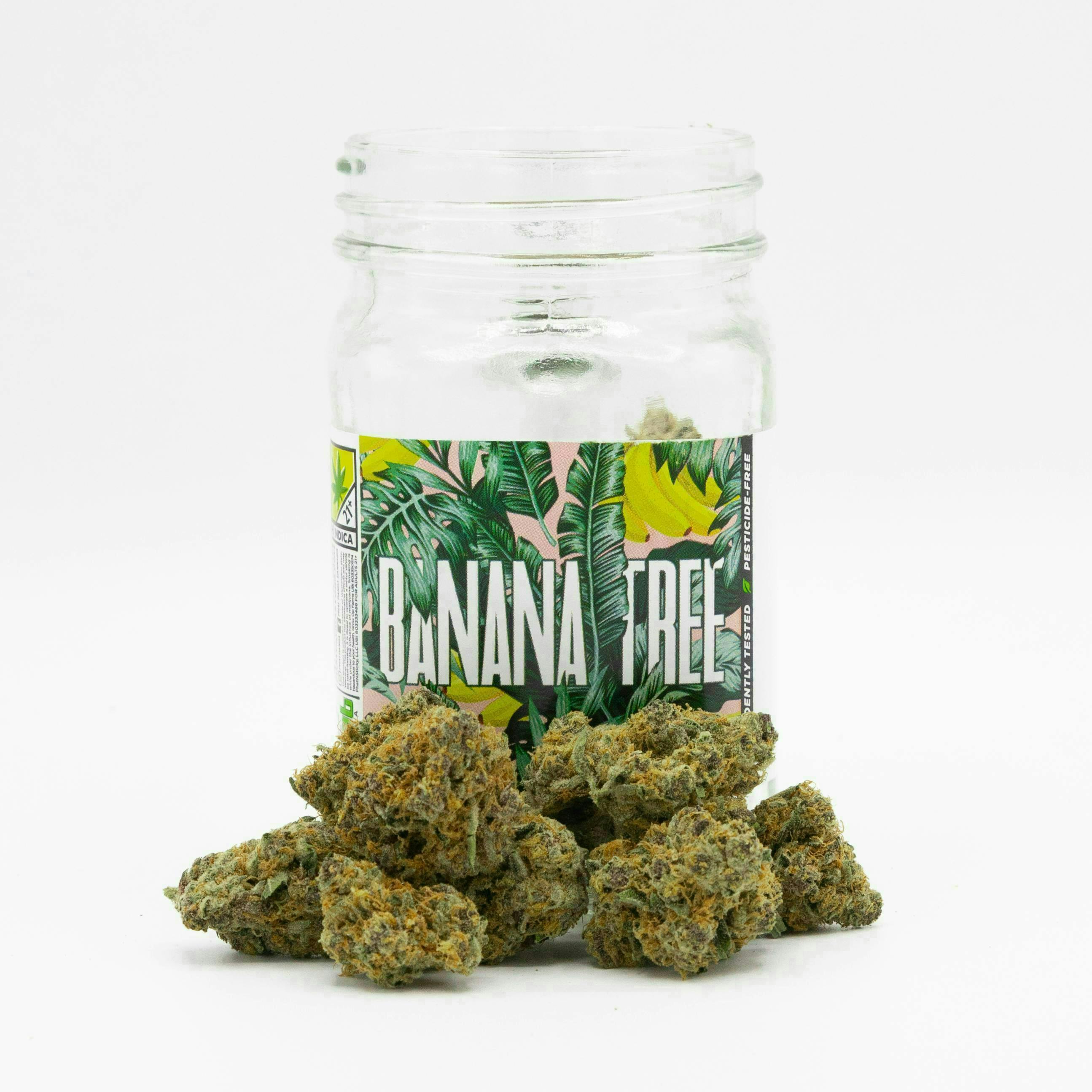 Phat Panda - Banana Tree | Big Buds - 1