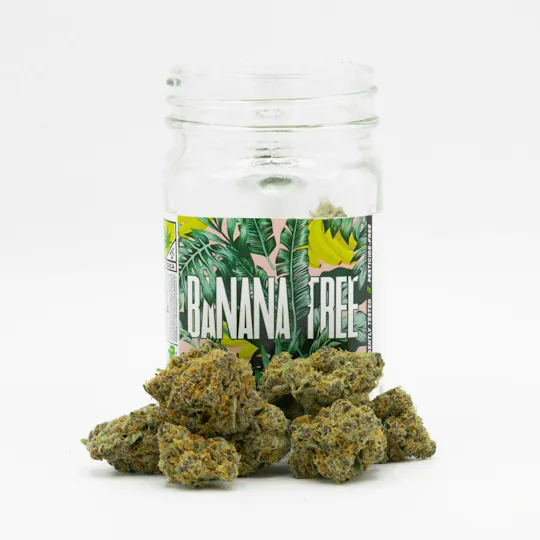 Phat Panda - Banana Tree | Big Buds - 1