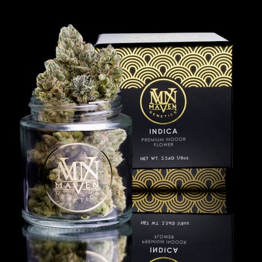 Maven Genetics - Kashmir Kush - 1