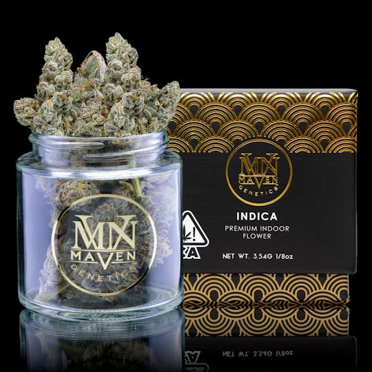 Maven Genetics - Ambrosia - 1