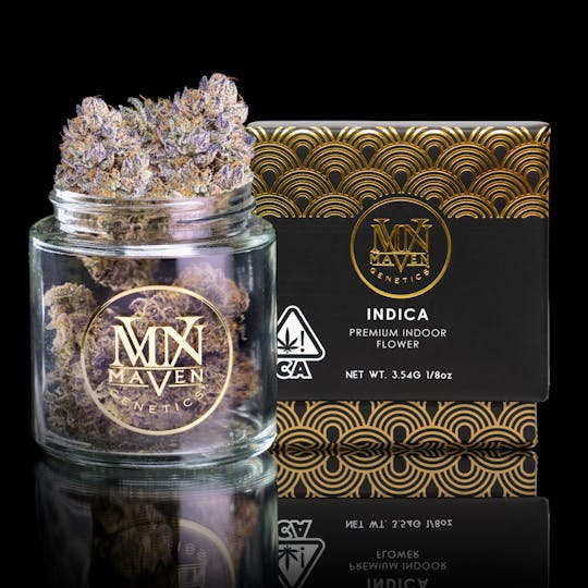 Maven Genetics - Medusa - 1