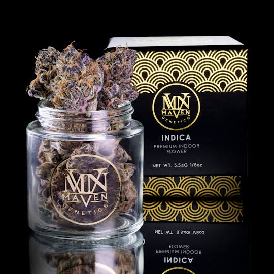 Maven Genetics - Purple Chai - 1