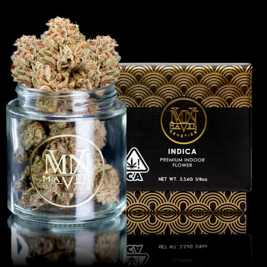 Maven Genetics - Blueberry Skunk - 1