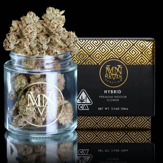 Maven Genetics - XXX OG - 1