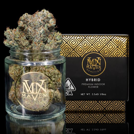 Maven Genetics - Skywalker OG - 1