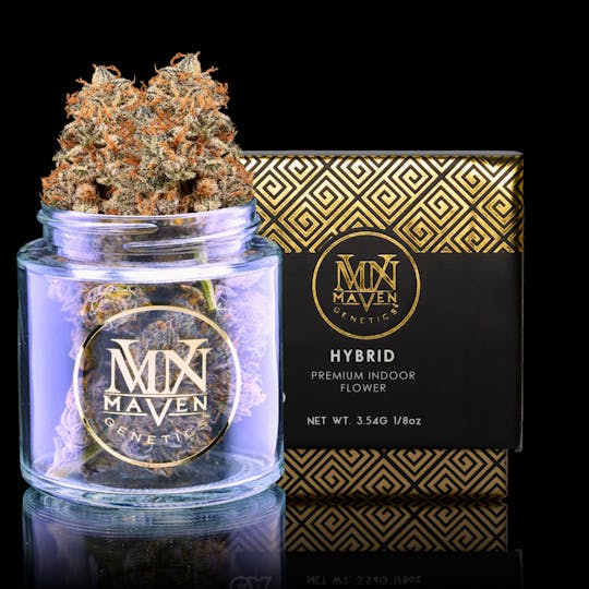 Maven Genetics - Midnight Snack - 1