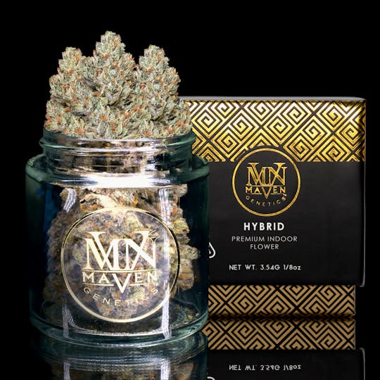 Maven Genetics - Gelato Gas - 1