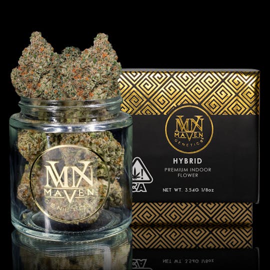 Maven Genetics - Sherb Mints - 1