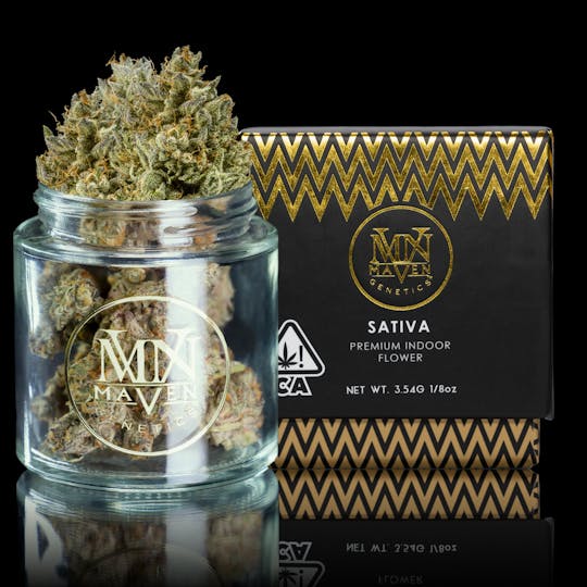 Maven Genetics - Blueberry Zkz - 1