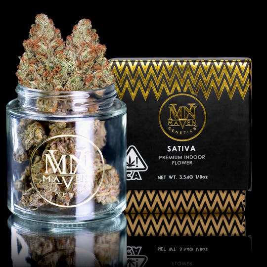Maven Genetics - Mandarin Gold - 1