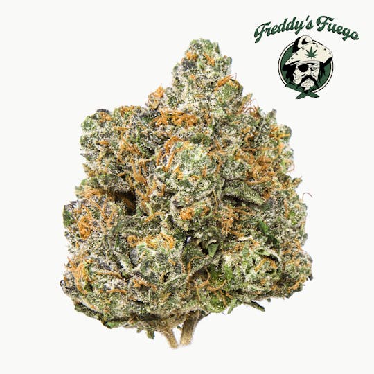 Freddy's Fuego - OG Sunny Sherb - 1