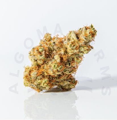 Algoma Farms - Agent Orange - 1