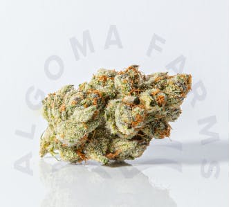 Algoma Farms - Faceoff OG - 1