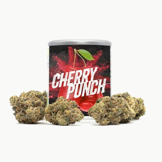Phat Panda - Cherry Punch - WA - 1