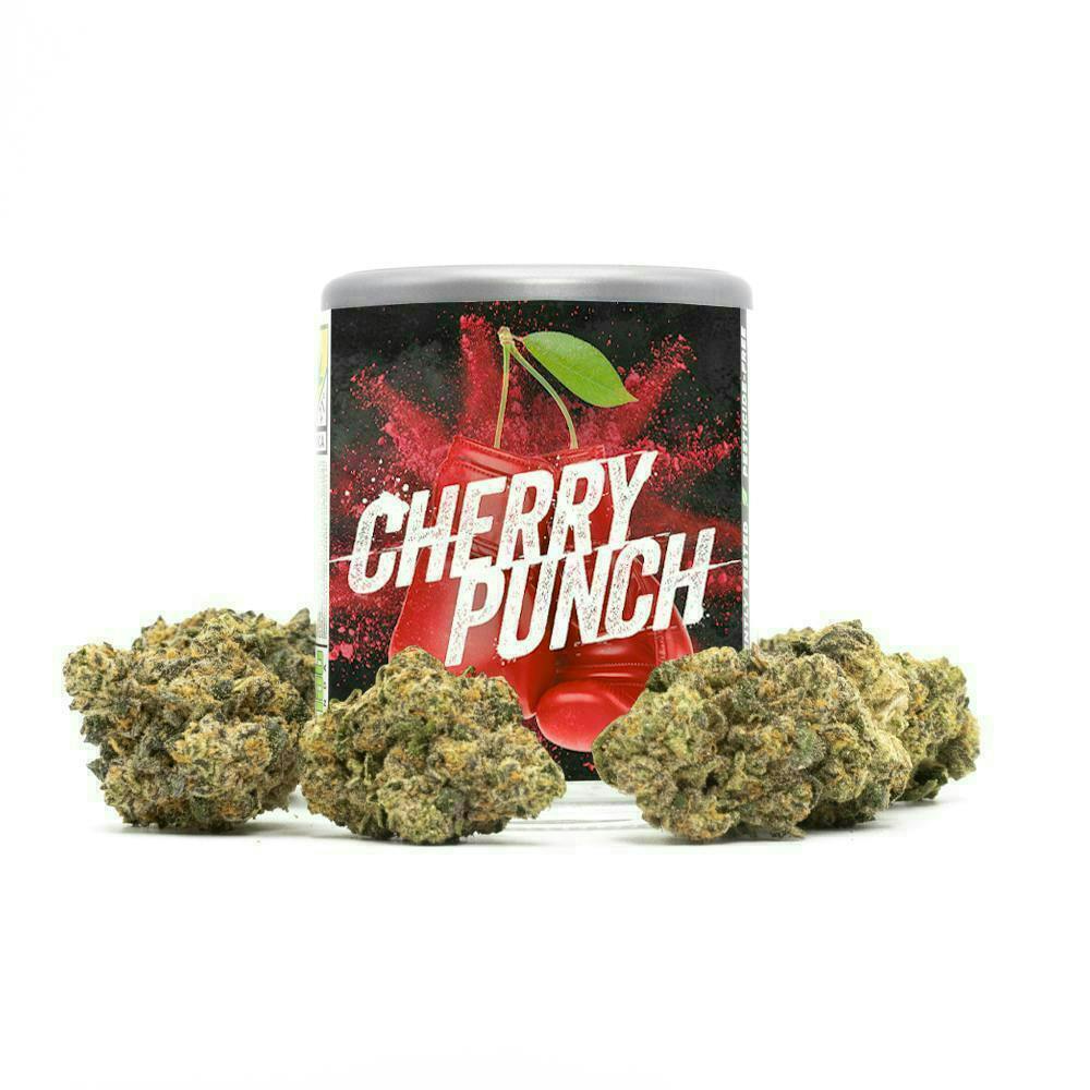Phat Panda - Cherry Punch | Big Buds - 1