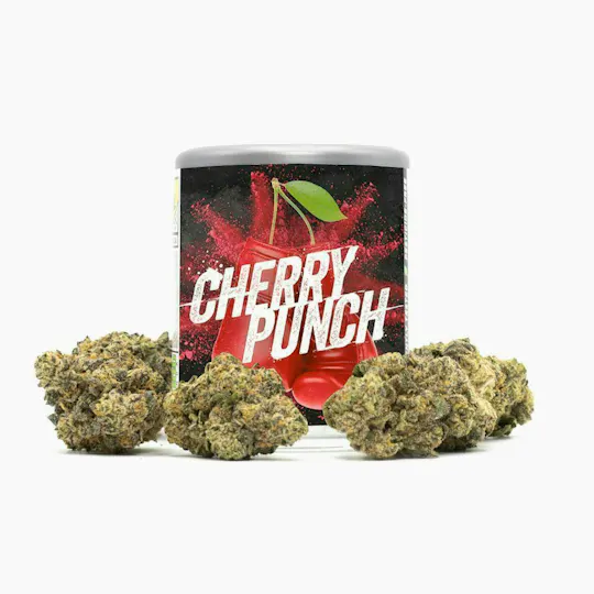 Phat Panda - Cherry Punch | Big Buds - 1