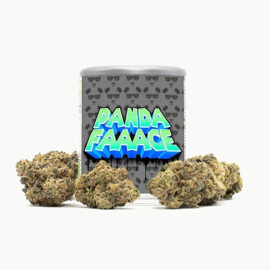 Phat Panda - Panda Face - WA - 1