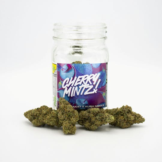 Phat Panda - Cherry Mintz - WA - 1