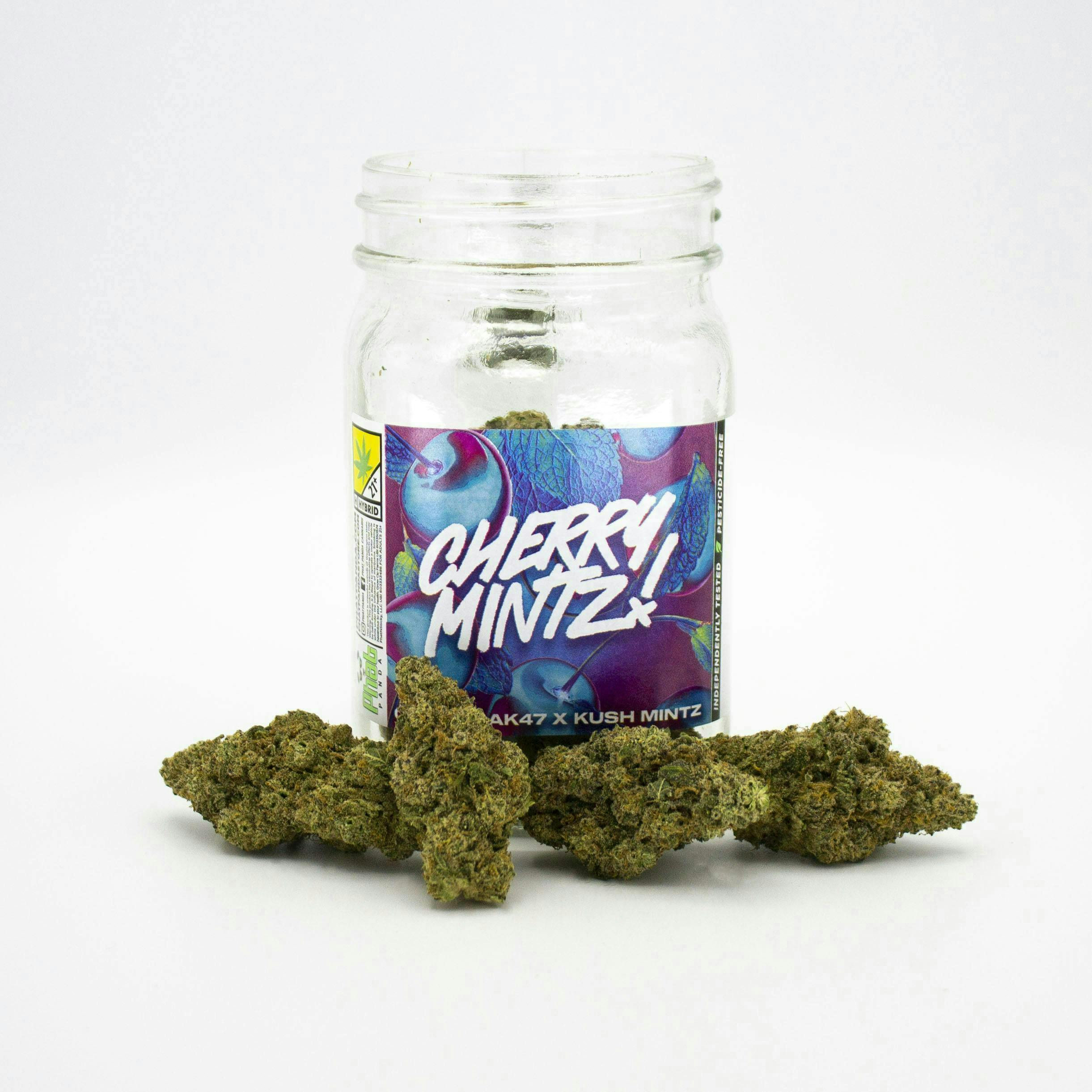 Phat Panda - Phat Panda | Cherry Mintz | Big Buds - 1