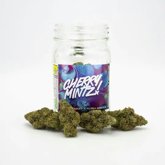 Phat Panda - Phat Panda | Cherry Mintz | Big Buds - 1