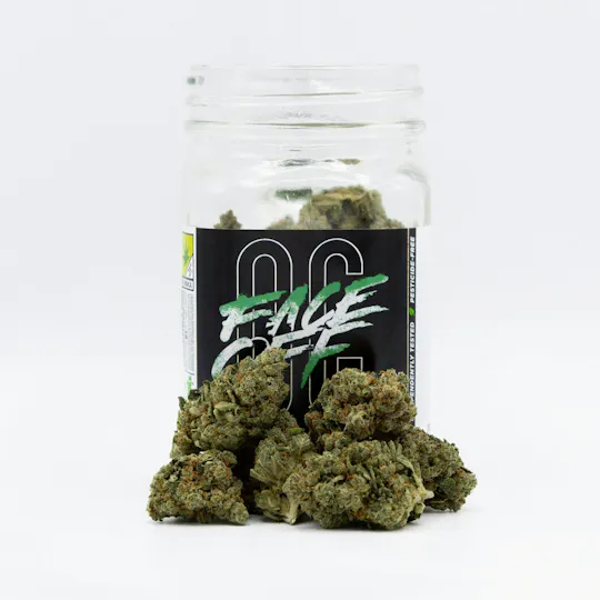 Phat Panda - Phat Panda | Face Off OG | Big Buds - 1