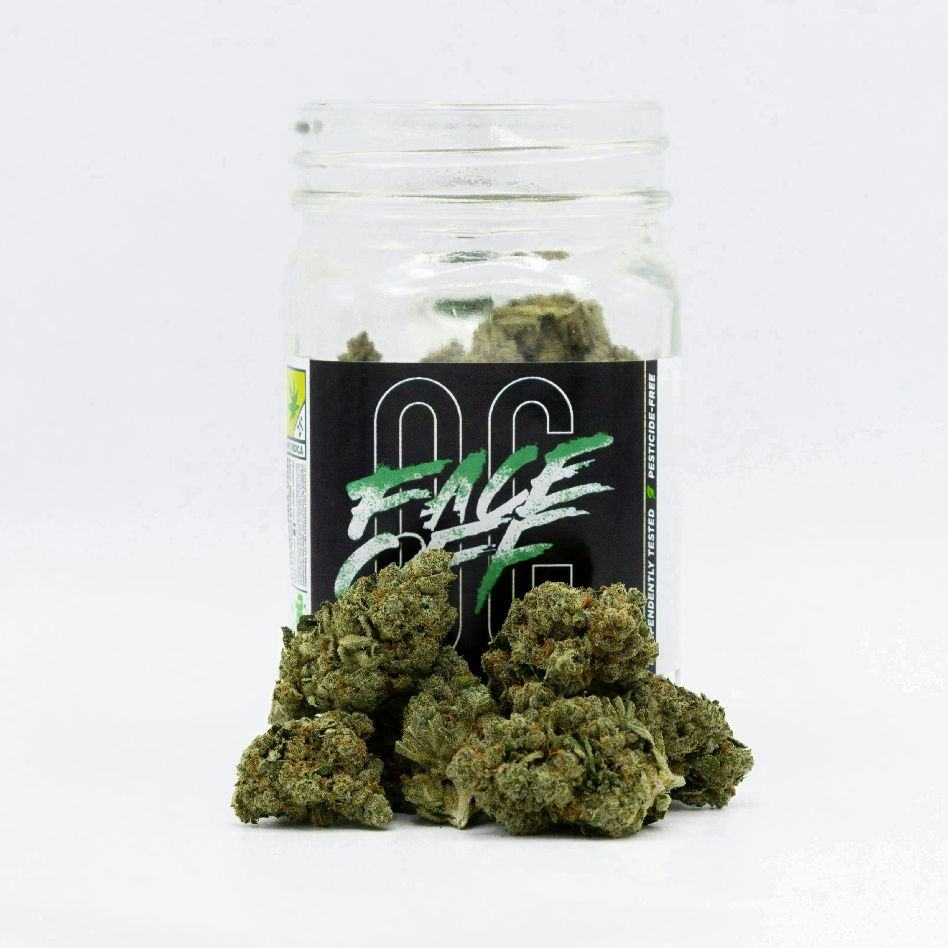 Phat Panda - Face Off OG | Big Buds - 1