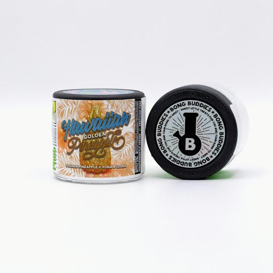 Phat Panda - Hawaiian Golden Pineapple Bong Buddies - WA - 1