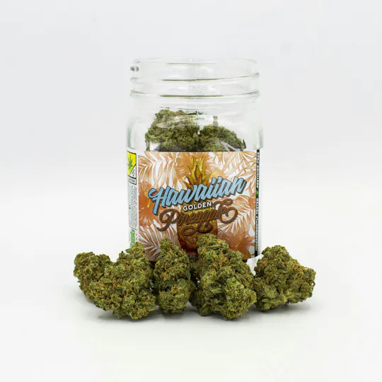 Phat Panda - Phat Panda | Hawaiian Golden Pineapple | Big Buds - 1