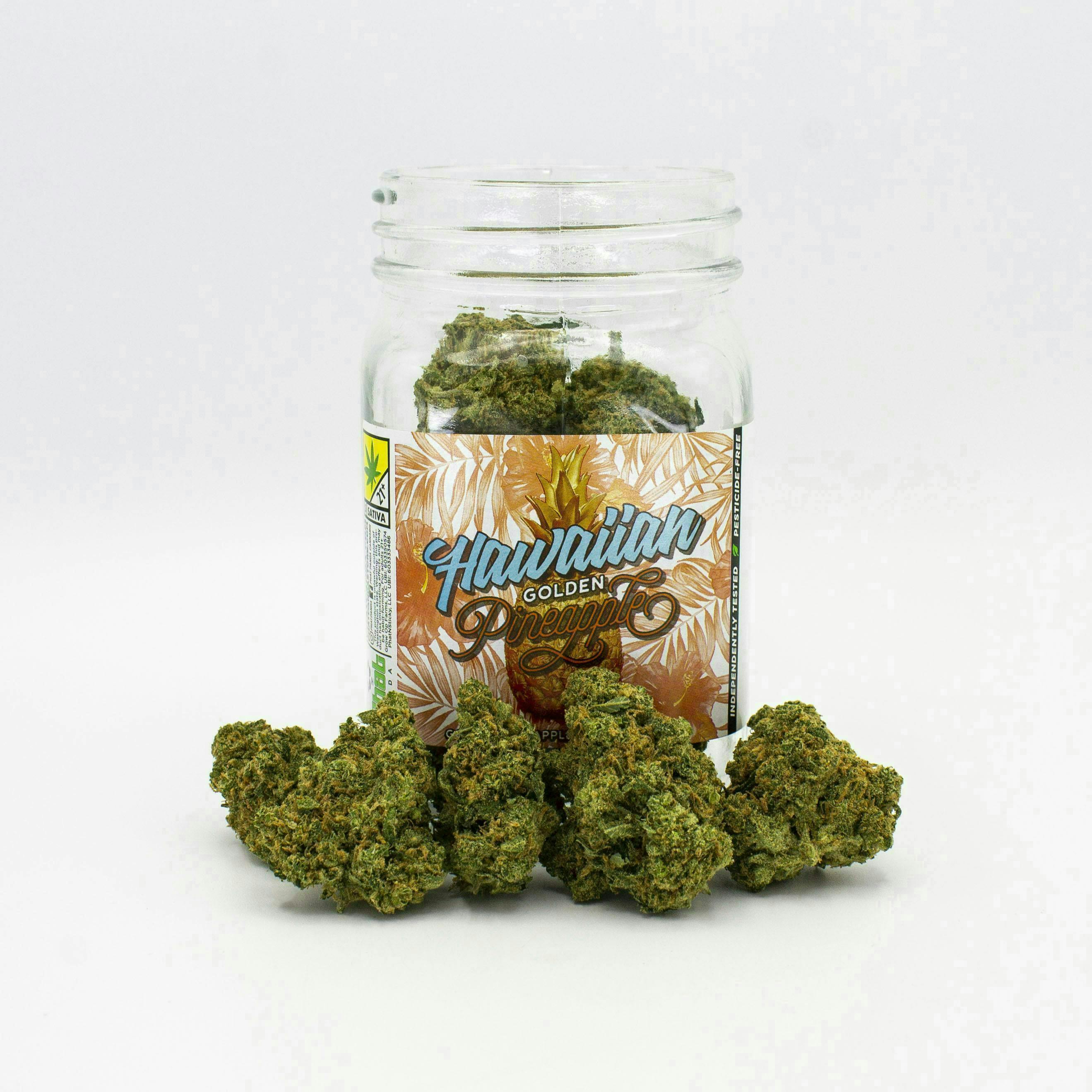 Phat Panda - Hawaiian Golden Pineapple | Big Buds - 1