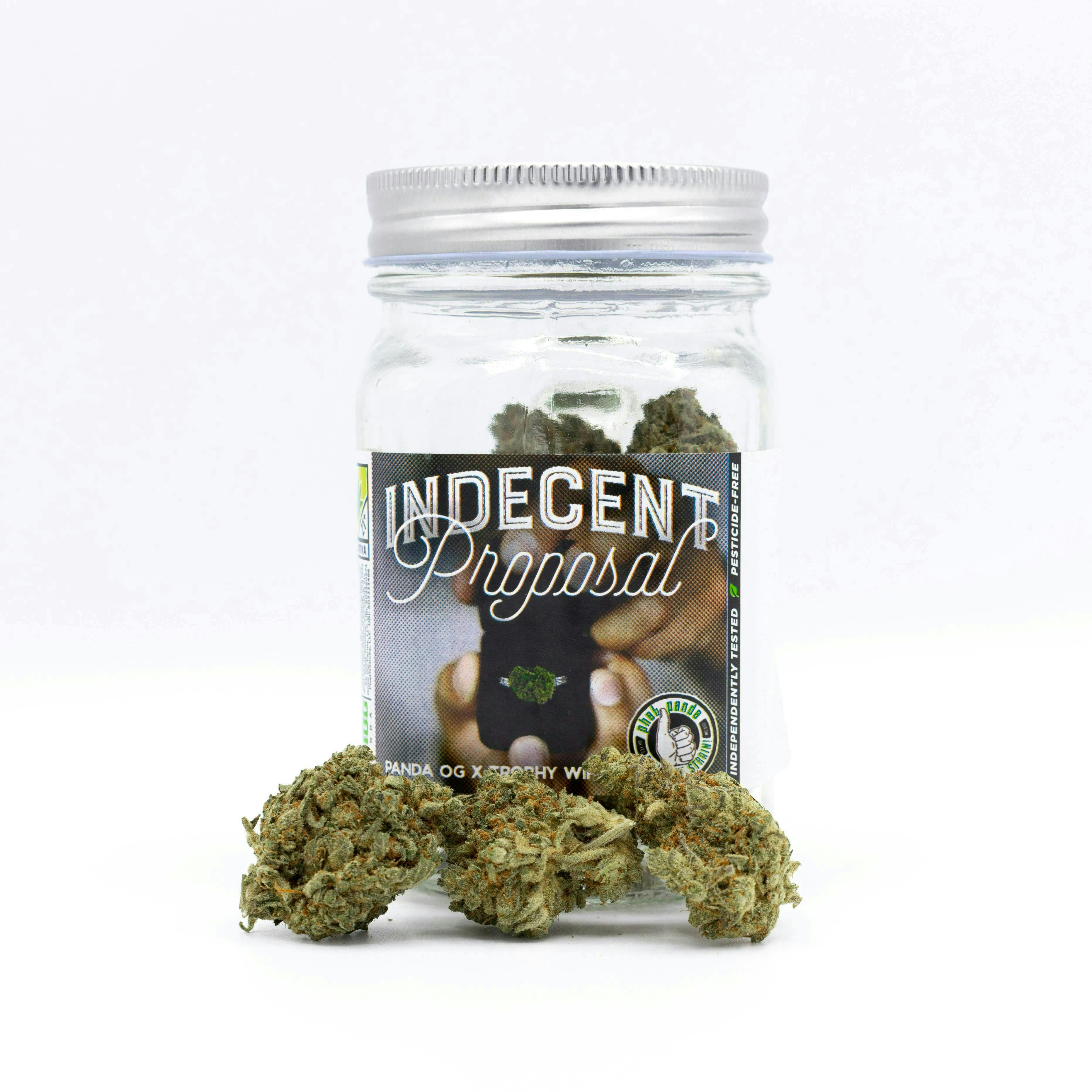 Phat Panda - Phat Panda | Indecent Proposal | Big Buds - 1
