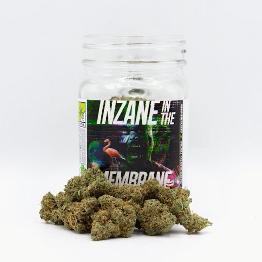 Phat Panda - Inzane in the Membrane - WA - 1
