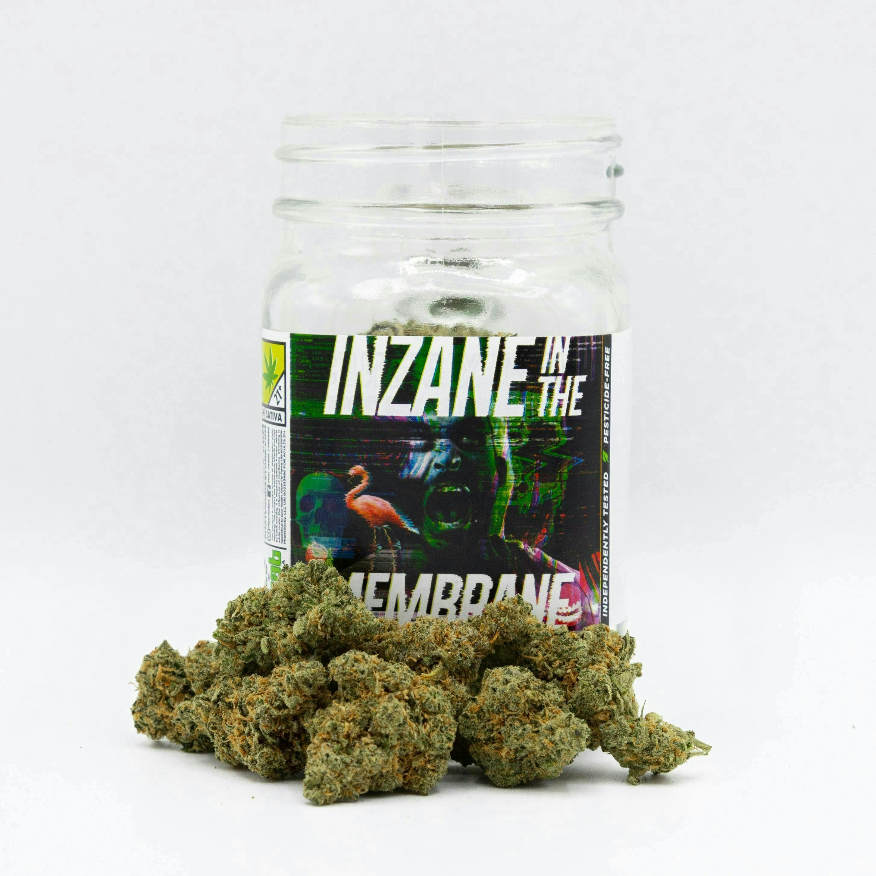 Phat Panda - Phat Panda | Inzane in the Membrane | Big Buds - 1